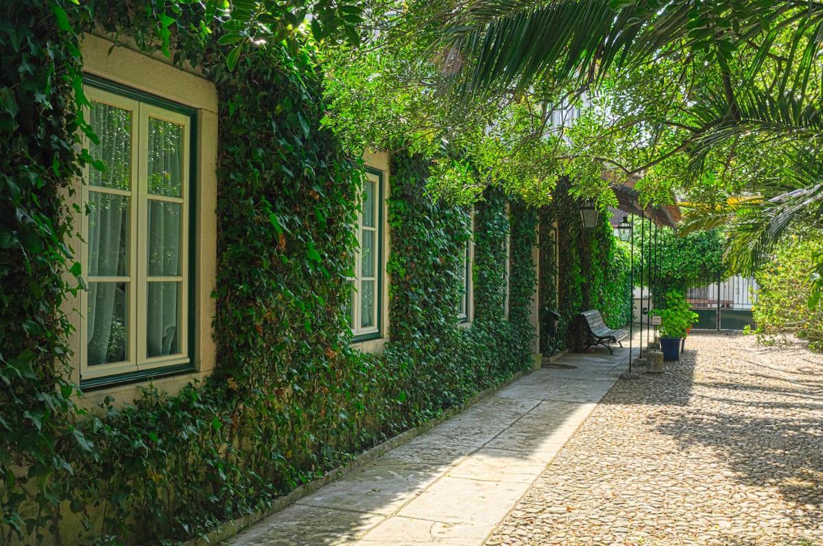 Casa Do Foral Guest House Rio Maior Eksteriør bilde